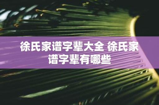徐氏家谱字辈大全 徐氏家谱字辈有哪些