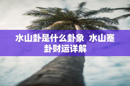 水山卦是什么卦象 水山蹇卦财运详解