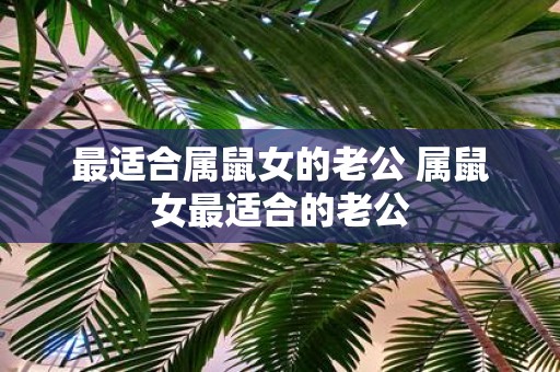 最适合属鼠女的老公 属鼠女最适合的老公