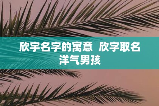 欣宇名字的寓意 欣字取名洋气男孩