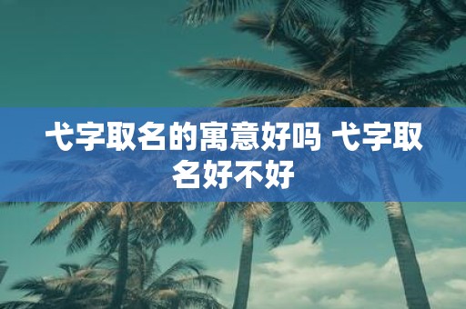 弋字取名的寓意好吗 弋字取名好不好