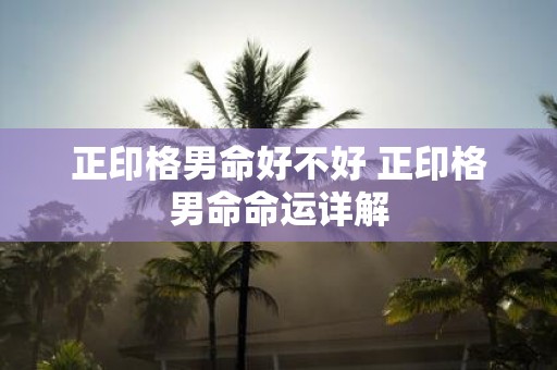 正印格男命好不好 正印格男命命运详解