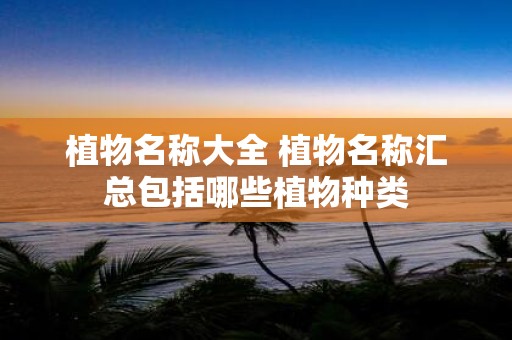 植物名称大全 植物名称汇总包括哪些植物种类