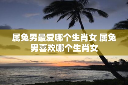 属兔男最爱哪个生肖女 属兔男喜欢哪个生肖女