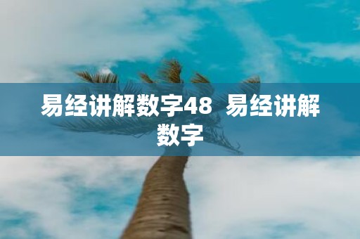 易经讲解数字48 易经讲解数字