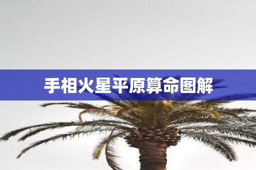 手相火星平原算命图解