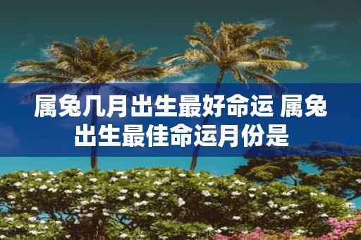 属兔几月出生最好命运 属兔出生最佳命运月份是