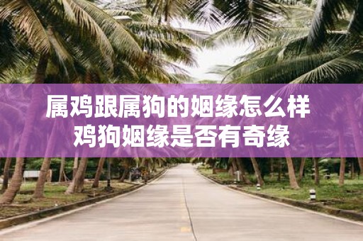 属鸡跟属狗的姻缘怎么样 鸡狗姻缘是否有奇缘
