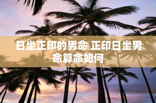 日坐正印的男命 正印日坐男命算命如何