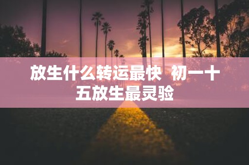 放生什么转运最快 初一十五放生最灵验