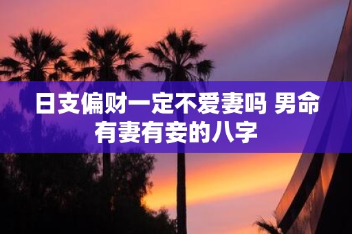日支偏财一定不爱妻吗 男命有妻有妾的八字