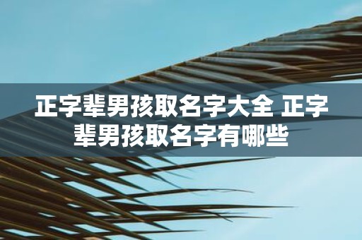 正字辈男孩取名字大全 正字辈男孩取名字有哪些