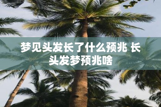 梦见头发长了什么预兆 长头发梦预兆啥