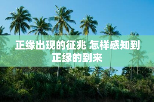 正缘出现的征兆 怎样感知到正缘的到来