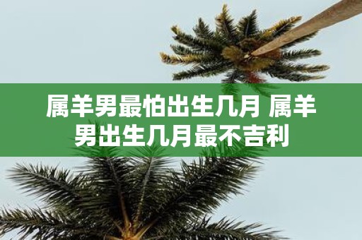 属羊男最怕出生几月 属羊男出生几月最不吉利