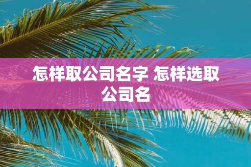 怎样取公司名字 怎样选取公司名