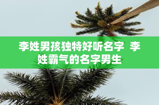 李姓男孩独特好听名字 李姓霸气的名字男生