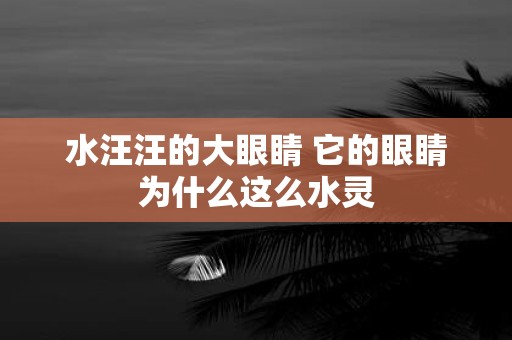 水汪汪的大眼睛 它的眼睛为什么这么水灵