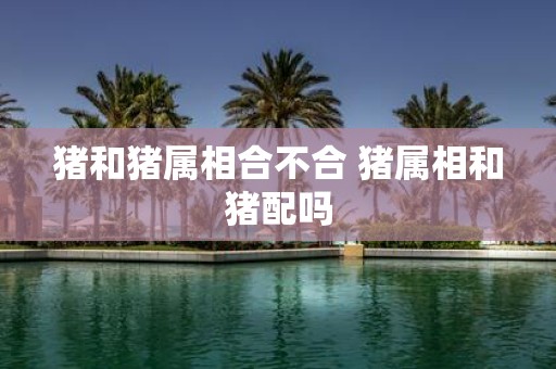 猪和猪属相合不合 猪属相和猪配吗