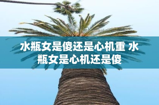 水瓶女是傻还是心机重 水瓶女是心机还是傻