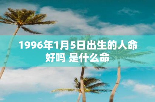 1996年1月5日出生的人命好吗 是什么命