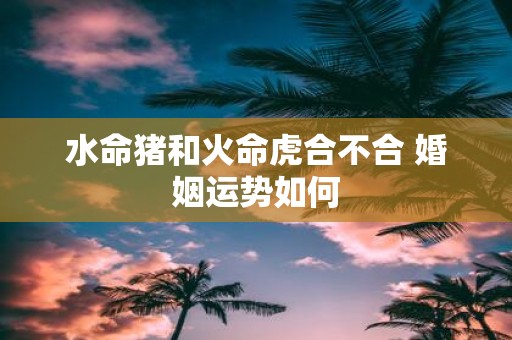 水命猪和火命虎合不合 婚姻运势如何