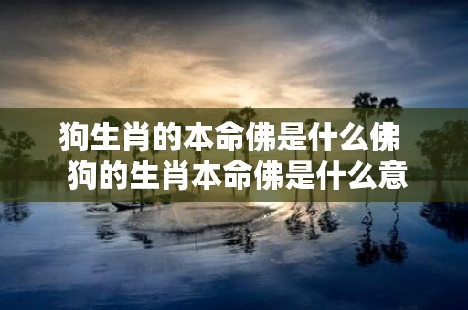 狗生肖的本命佛是什么佛 狗的生肖本命佛是什么意思