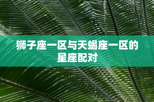 狮子座一区与天蝎座一区的星座配对