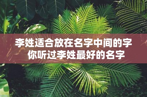 李姓适合放在名字中间的字 你听过李姓最好的名字