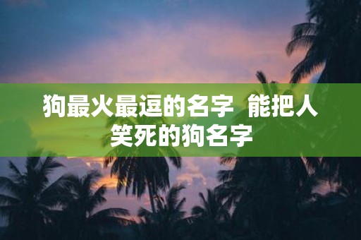 狗最火最逗的名字 能把人笑死的狗名字