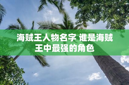海贼王人物名字 谁是海贼王中最强的角色