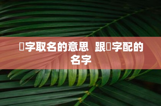 燊字取名的意思 跟燊字配的名字