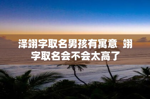 泽翊字取名男孩有寓意 翊字取名会不会太高了