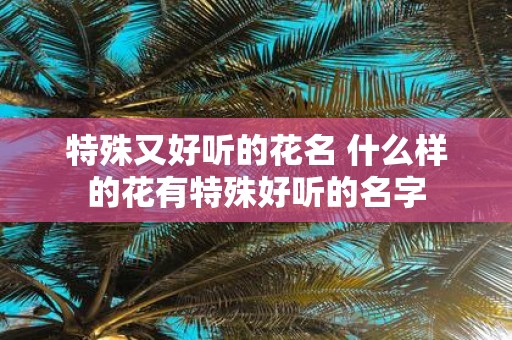 特殊又好听的花名 什么样的花有特殊好听的名字
