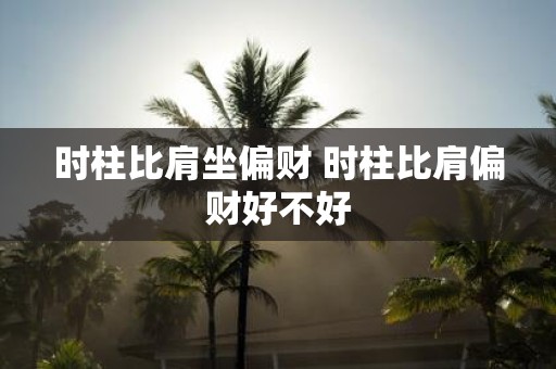 时柱比肩坐偏财 时柱比肩偏财好不好