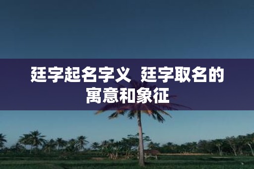 廷字起名字义 廷字取名的寓意和象征