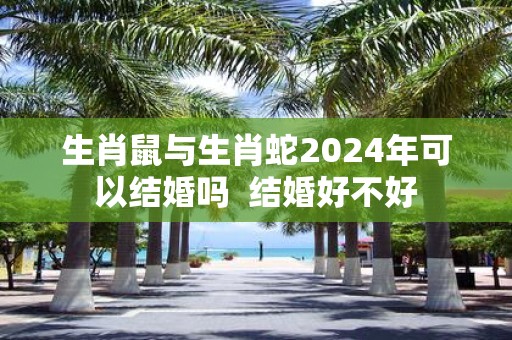 生肖鼠与生肖蛇2025年可以结婚吗 结婚好不好