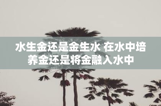 水生金还是金生水 在水中培养金还是将金融入水中
