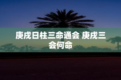 庚戌日柱三命通会 庚戌三会何命