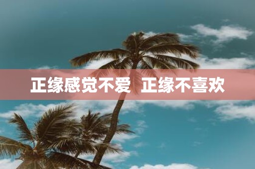 正缘感觉不爱 正缘不喜欢