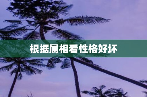 根据属相看性格好坏