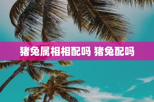 猪兔属相相配吗 猪兔配吗
