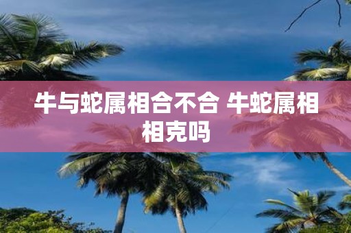 牛与蛇属相合不合 牛蛇属相相克吗