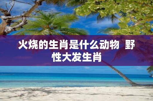火烧的生肖是什么动物 野性大发生肖