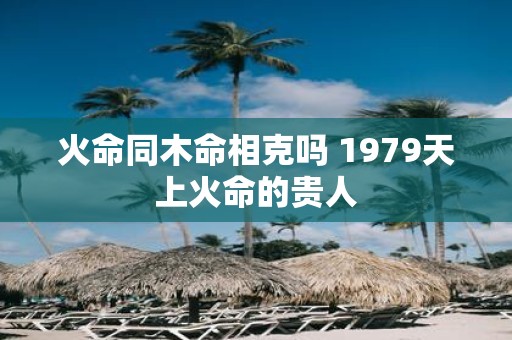 火命同木命相克吗 1979天上火命的贵人
