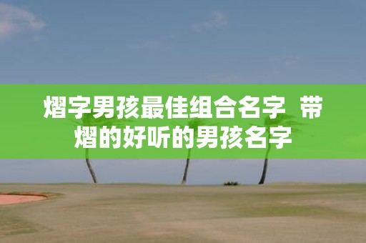 熠字男孩最佳组合名字 带熠的好听的男孩名字