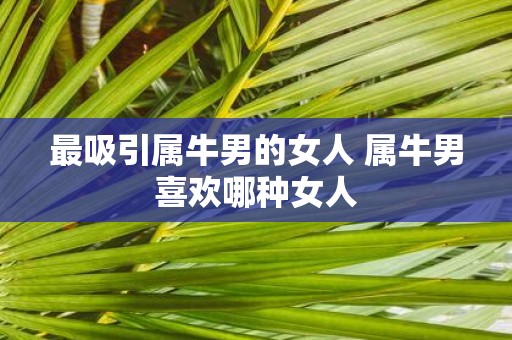 最吸引属牛男的女人 属牛男喜欢哪种女人