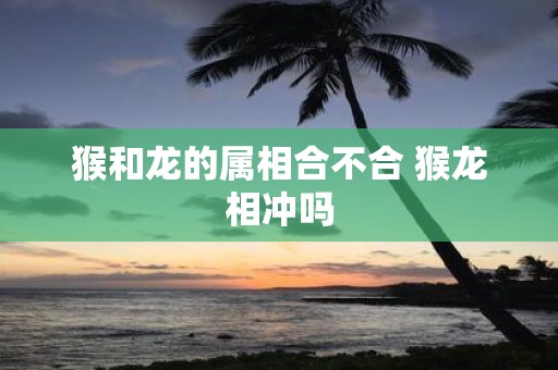 猴和龙的属相合不合 猴龙相冲吗