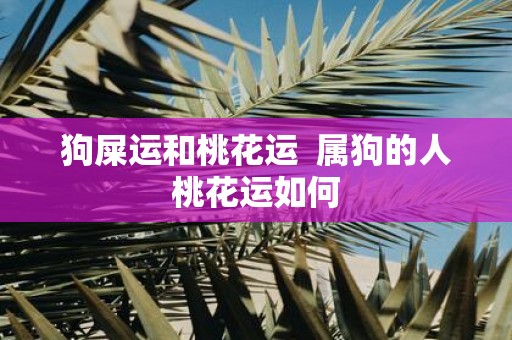 狗屎运和桃花运 属狗的人桃花运如何