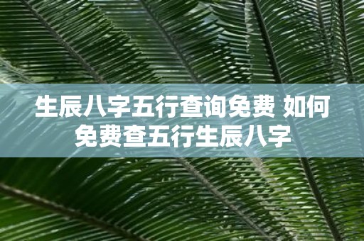 生辰八字五行查询免费 如何免费查五行生辰八字